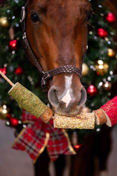 Gryzak dla koni Candy Horse – Reindeer Chew