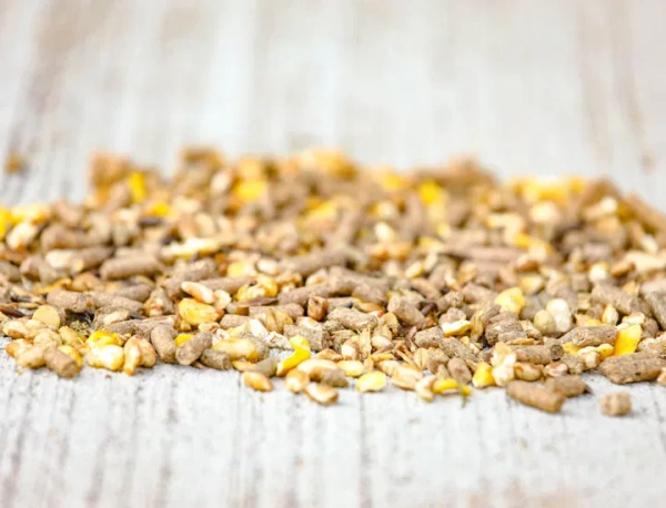 Pasza dla roczniaków i młodych koni do 3. roku życia Cavalor Juniorix 20kg