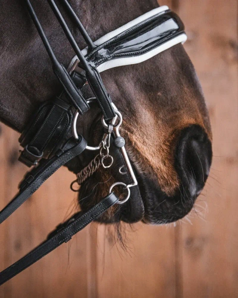 Wędzidło oliwkowe FAGER Jasmine Titanium Bradoon - pojedynczo łamane