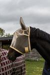 Maska przeciw owadom z uszami i ochroną nosa Kentucky Horsewear Heart