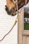 Uwiąz Kentucky Horsewear Lead Rope Basic