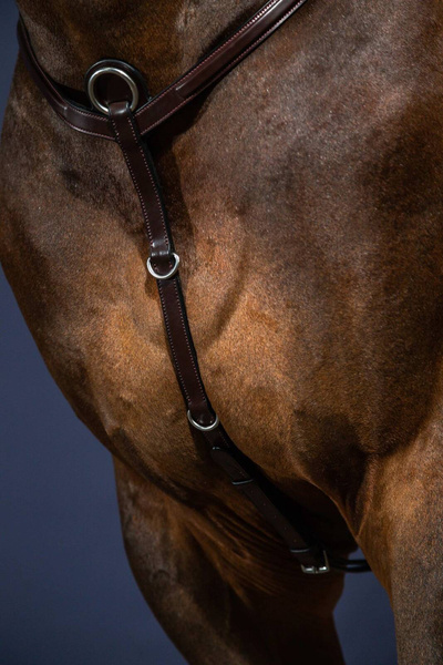 Napierśnik Dy'on New English Collection NE06A