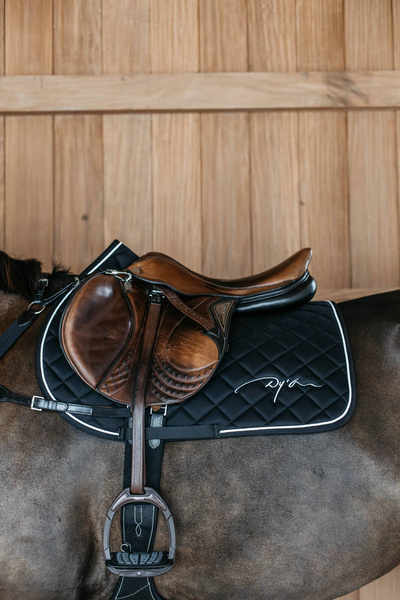 Czaprak skokowy Dy'on Diamond HO22K