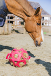 Piłka na siano dla konia Kentucky Horsewear Relax Horse Play & Hay Ball