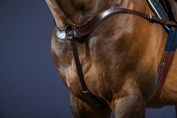 Napierśnik z mostkiem Dy'on New English Collection NE06B