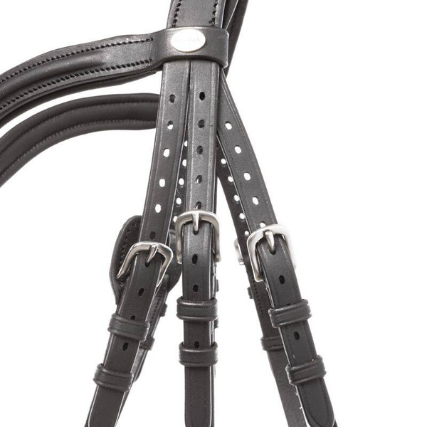 Ogłowie z nachrapnikiem hanowerskim Kavalkade Everana