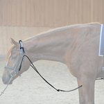 Czambon skórzano-sznurkowy Kavalkade