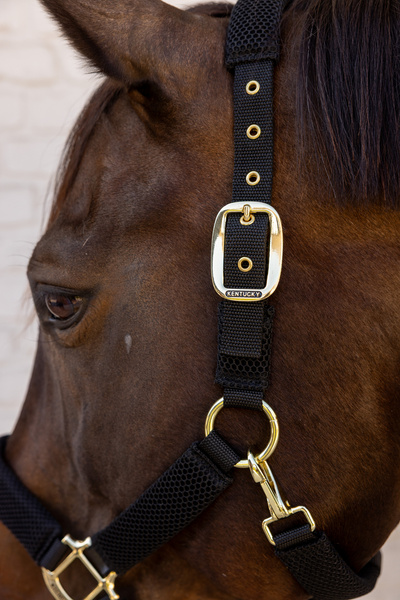 Kantar dla konia Kentucky Horsewear 3D Mesh