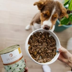 Karma mokra dla szczeniąt Perro - Jagnięcina z cukinią