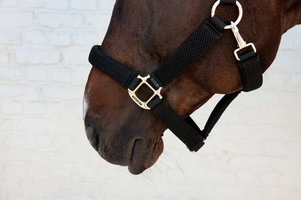 Kantar dla konia Kentucky Horsewear 3D Mesh