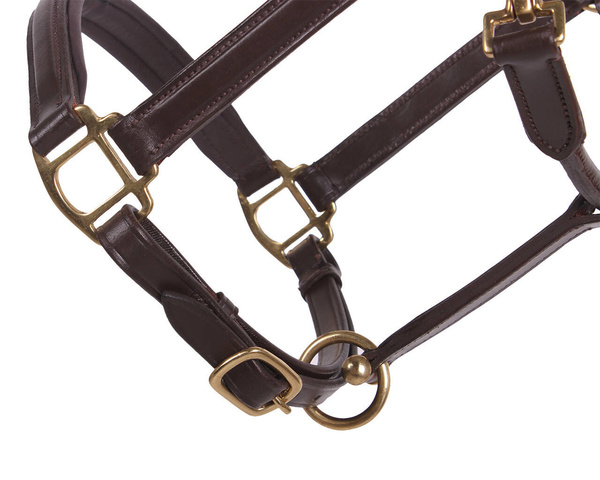 Kantar skórzany QHP Delicate