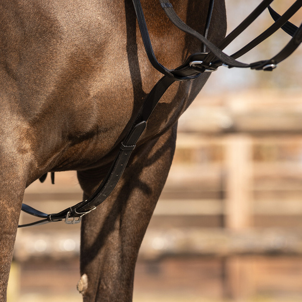 Wodze Thiedemanna QHP