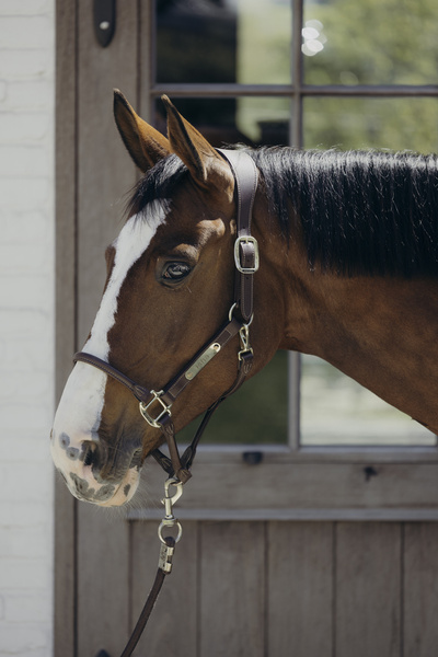Kantar anatomiczny Kentucky Horsewear Anatomic Leather Halter