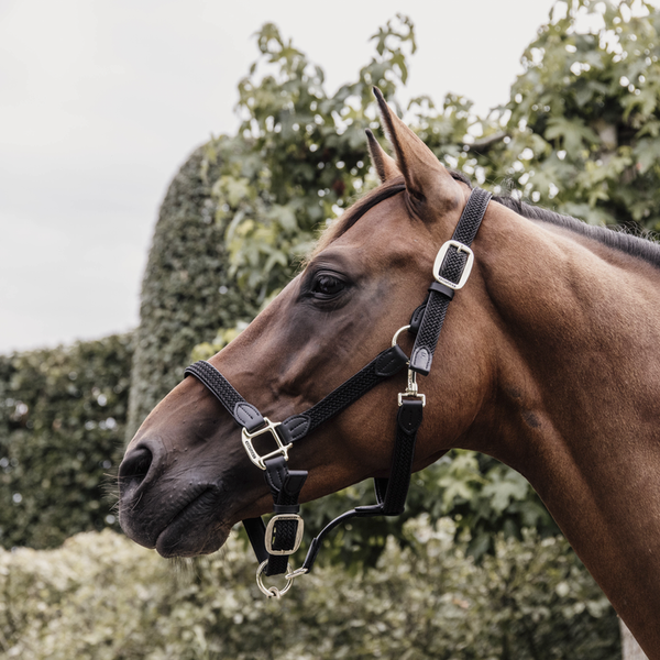 Kantar dla konia Kentucky Horsewear Plaited Nylon