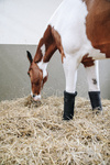 Owijki stajenne Kentucky Horsewear Repellent Stable