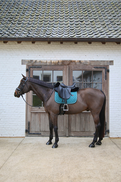 Podkładka pod siodło Kentucky Horsewear Sheepskin Half Pad Anatomic Absorb