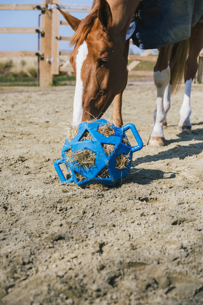 Piłka na siano dla konia Kentucky Horsewear Relax Horse Play & Hay Ball