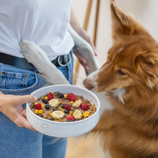 Liofilizowane przysmaki warzywne Perro - Brzoskwinia