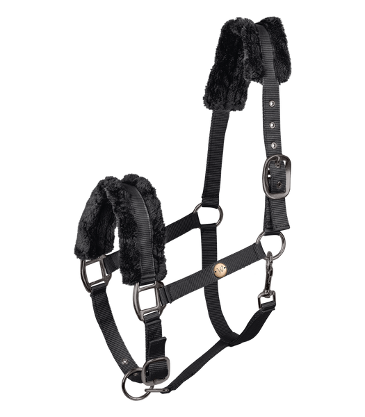 Kantar Waldhausen Modern Rose