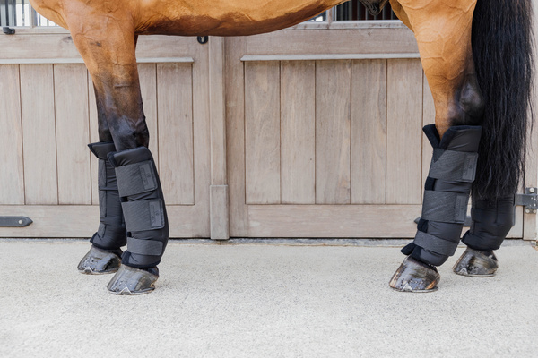 Ochraniacze stajenno-transportowe na tylne nogi Kentucky Horsewear Stable Boots PROtect Long Hind