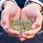 Mieszanka ziołowa na trawienie i zdrowie układu pokarmowego u koni Stiefel 