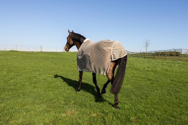 Derka siatkowa przeciw owadom z klapą na brzuch Kentucky Horsewear Fly Rug with Belly Cover Comfort