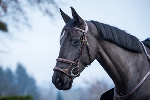 Ogłowie z podwójnym nachrapnikiem Dy'on D Collection DYAAAH
