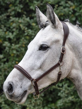 Kantar skórzany Equiline Safety