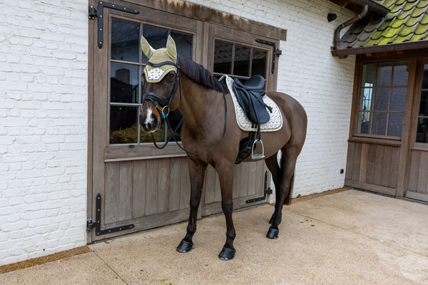 Nauszniki klasyczne Kentucky Horsewear Velvet Horse Printing