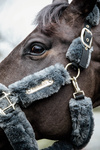 Kantar obszyty w całości syntetycznym futrem Kentucky Horsewear Sheepskin Shipping