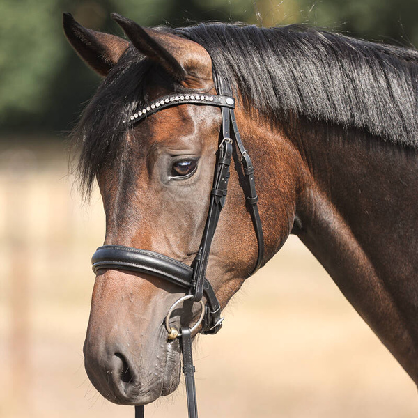 Ogłowie z nachrapnikiem kombinowanym Kavalkade Diana