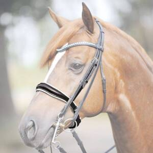 Nachrapnik szwedzki Kavalkade Antonina