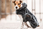 Derka dla psa Kentucky Dogwear Fake Fur