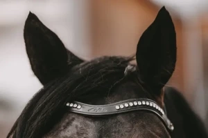 Naczółek opadający z kryształkami Swarovski Dy'on New English Collection NE02F