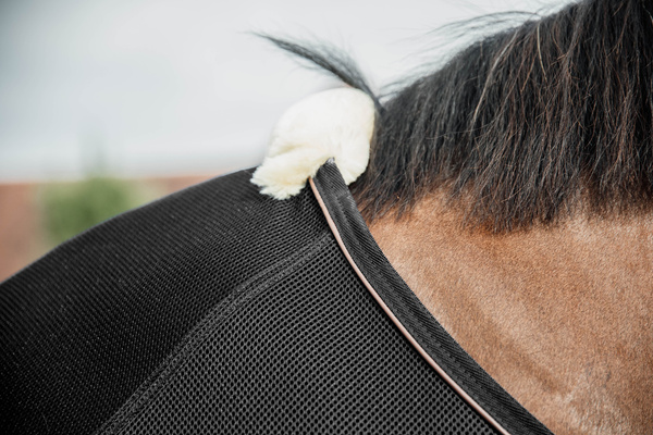 Derka siatkowo-osuszająca Kentucky Horsewear Mesh Combo Cooler Sheet