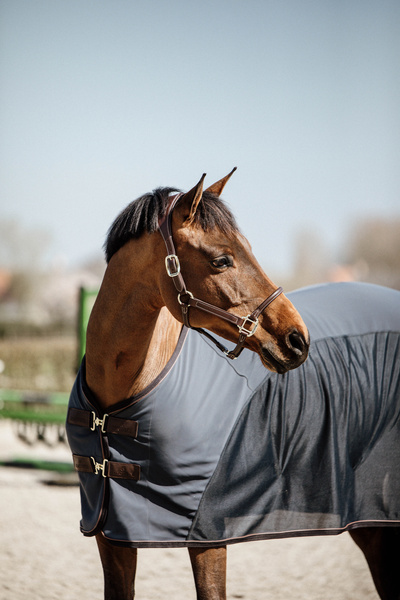 Kantar anatomiczny Kentucky Horsewear Anatomic Leather Halter