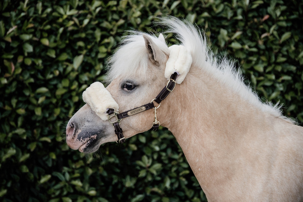 Kantar dla kucyka Kentucky Horsewear Leather Sheepskin