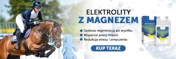 Elektrolity z magnezem w płynie HorseLine