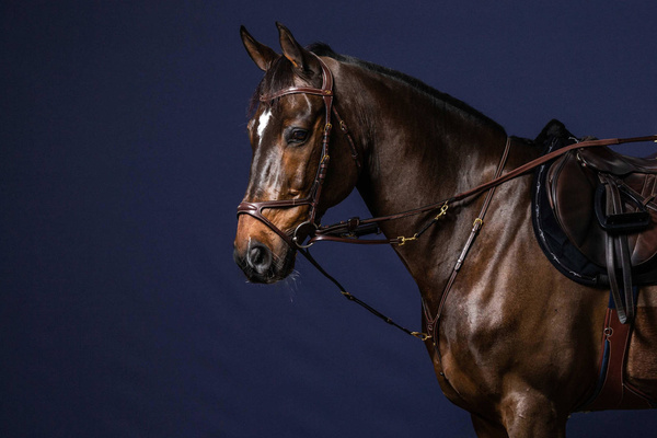 Wytoczek Howlett Dy'on D Collection DY07I