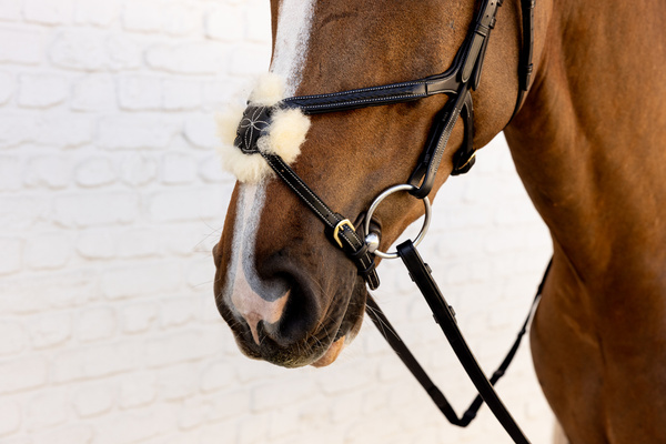 Ogłowie z nachrapnikiem meksykańskim Dy'on D Collection Plaited DYAOAV