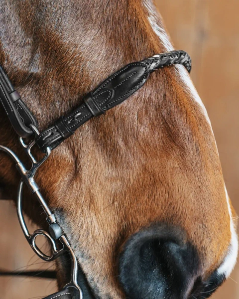 Pasek do wędzidła hackamore Fager Richard