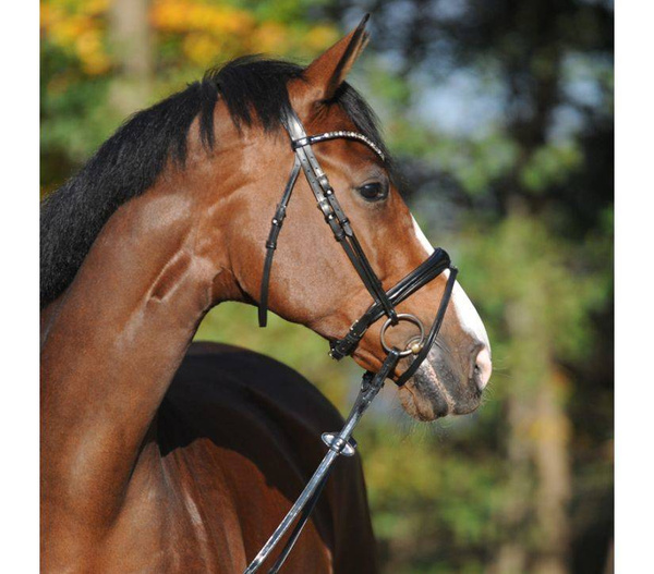 Ogłowie z nachrapnikiem szwedzkim Kavalkade Reyna