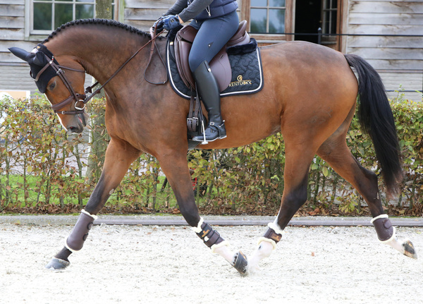 Ochraniacze ujeżdżeniowe z futrem Kentucky Horsewear Turnout Boots Leather - przody