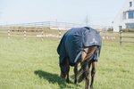 Derka padokowa Kentucky Horsewear Comfort 0g