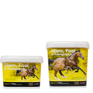 Suplement witaminowy dla klaczy hodowlanych i młodych koni NAF Mare, Foal & Youngstock