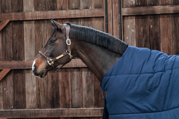 Podderka Kentucky Horsewear 100g