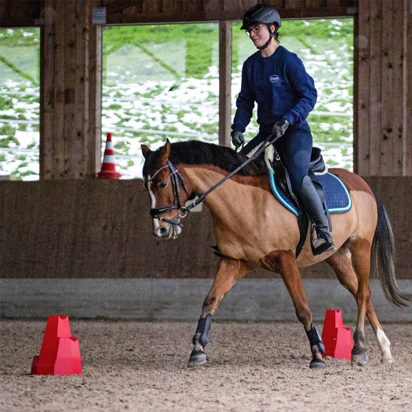 Stojak do przeszkód York Pylonetti