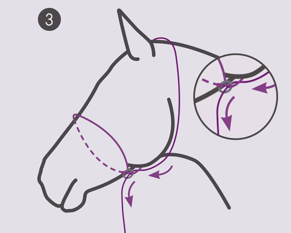 Kantar do zdjęć QHP