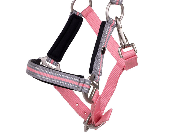 Kantar źrebięcy QHP Flore