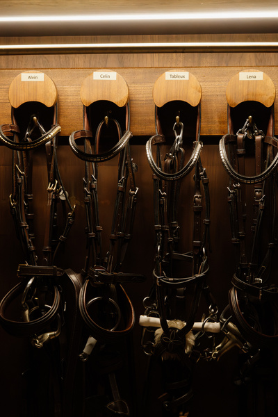 Wieszak na ogłowie Grooming Deluxe - 5 haków